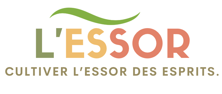 LESSOR EDU